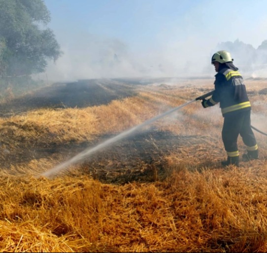 Hőségriasztás: életveszélyes hibára figyelmeztetnek – könnyen tragédia lehet belőle
