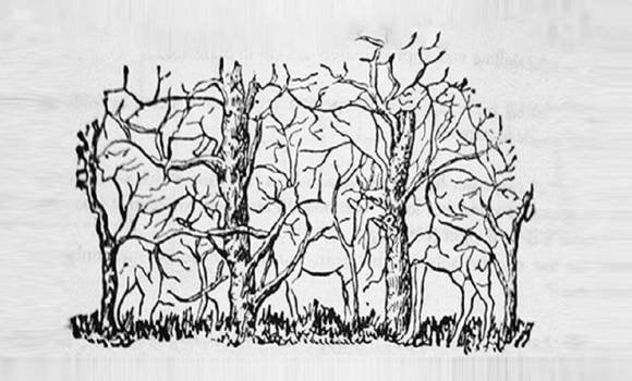 A képen 8 állat látható – az első, amelyiket észreveszed, feltárja a személyiséged lényegét