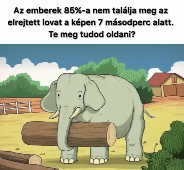 Az emberek 85%-a nem találja meg az elrejtett lovat a képen. Te meg tudod oldani?
