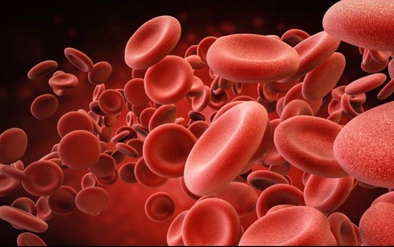 A legerősebb vércsoport: a hordozóik élnek a leghosszabb ideig